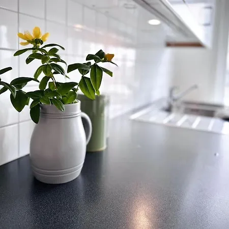 Central, Bright, And Spacious Retreat * スタヴァンゲル