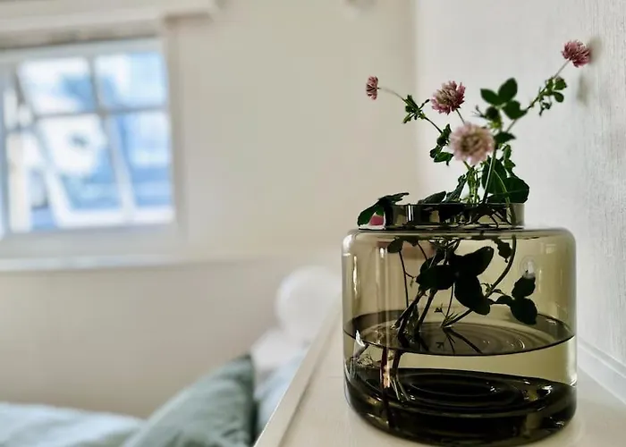 Central, Bright, And Spacious Retreat