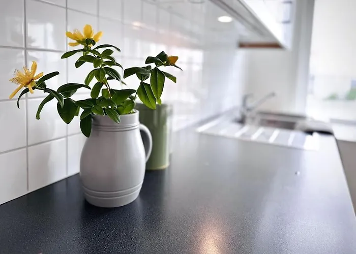 Central, Bright, And Spacious Retreat * Stavanger