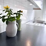 Central, Bright, And Spacious Retreat * Stavanger